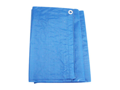 Blue Tarp